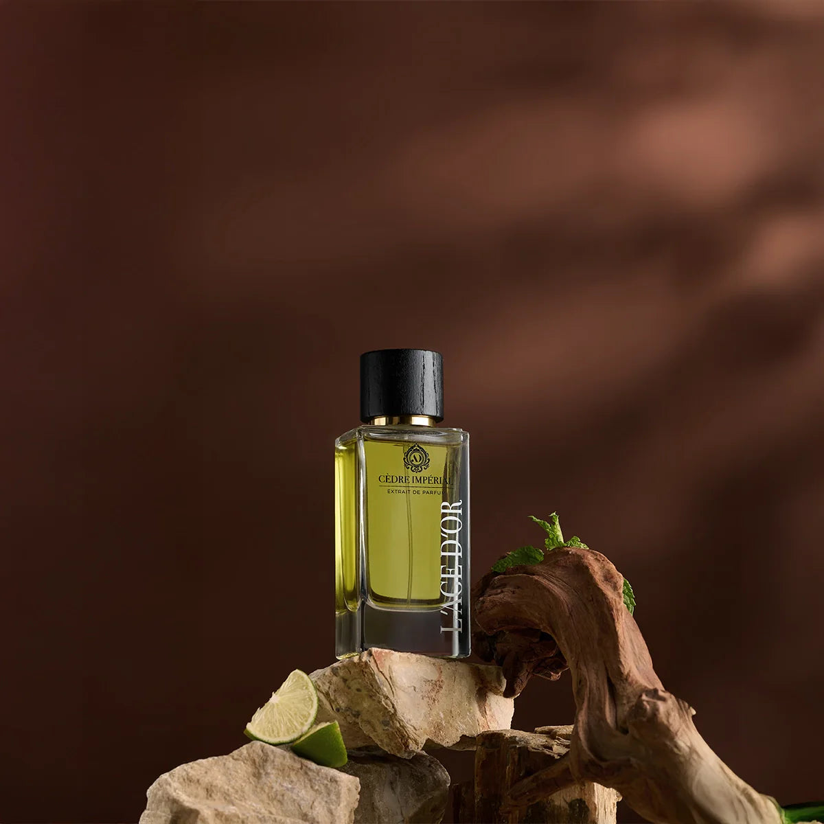 Cèdre Impérial by L’Âge d’Or Extrait de Parfum bottle with cedar wood, lime and natural stones on dark brown background
