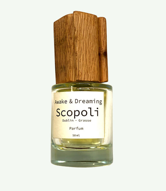 Awake & Dreaming - Scopoli - Hallburg.ae